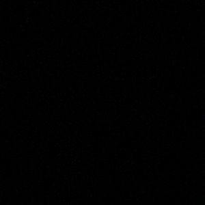 Meet your Posher, Gavin